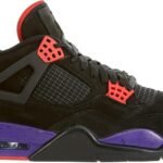 Jordan 4 Retro Raptors Drake OVO (2019)